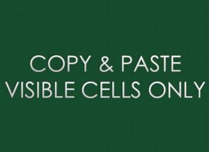 COPY & PASTE VISIBLE CELLS ONLY
