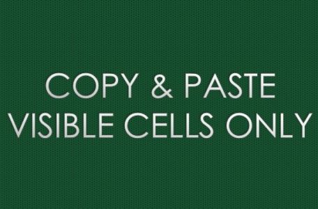 COPY & PASTE VISIBLE CELLS ONLY